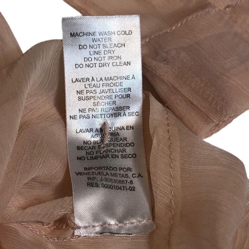 Blush Gauzy Chiffon Sheer Tunic Blouse with Buttons and Pleats​​​​ - Picture 15 of 16